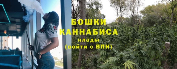 бошки Туринск